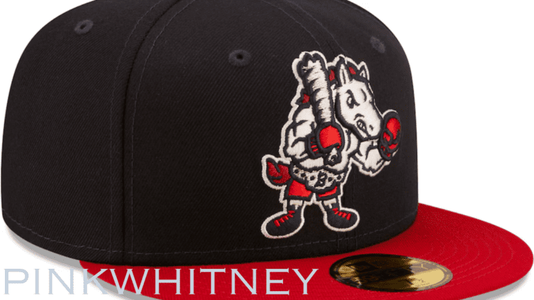 Domainhamton Rumble Ponies Hats