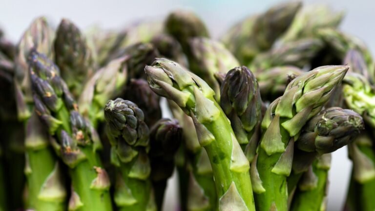 Harvest Asparagus