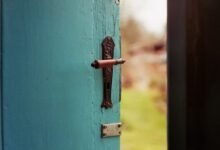 squeaky door hinge