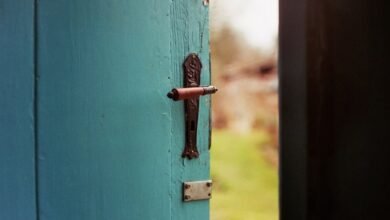 squeaky door hinge