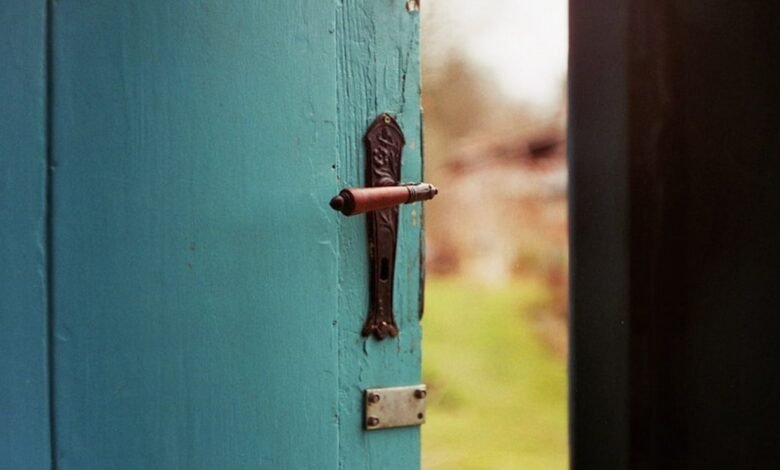 squeaky door hinge